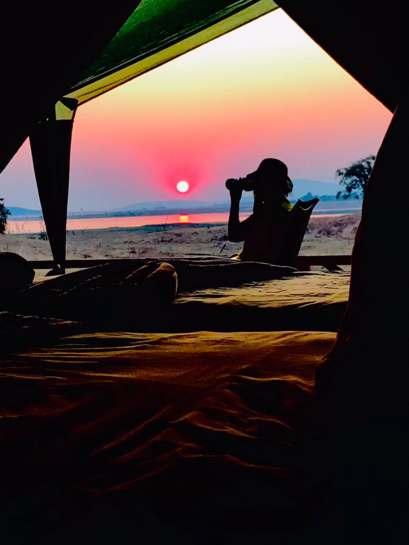 Sunset Safari Special